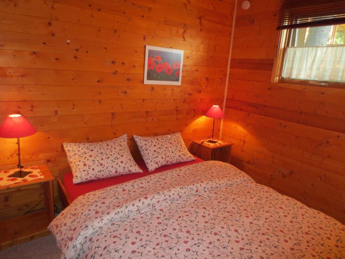 Blaeberry Mountain Lodge Golden Szoba fotó